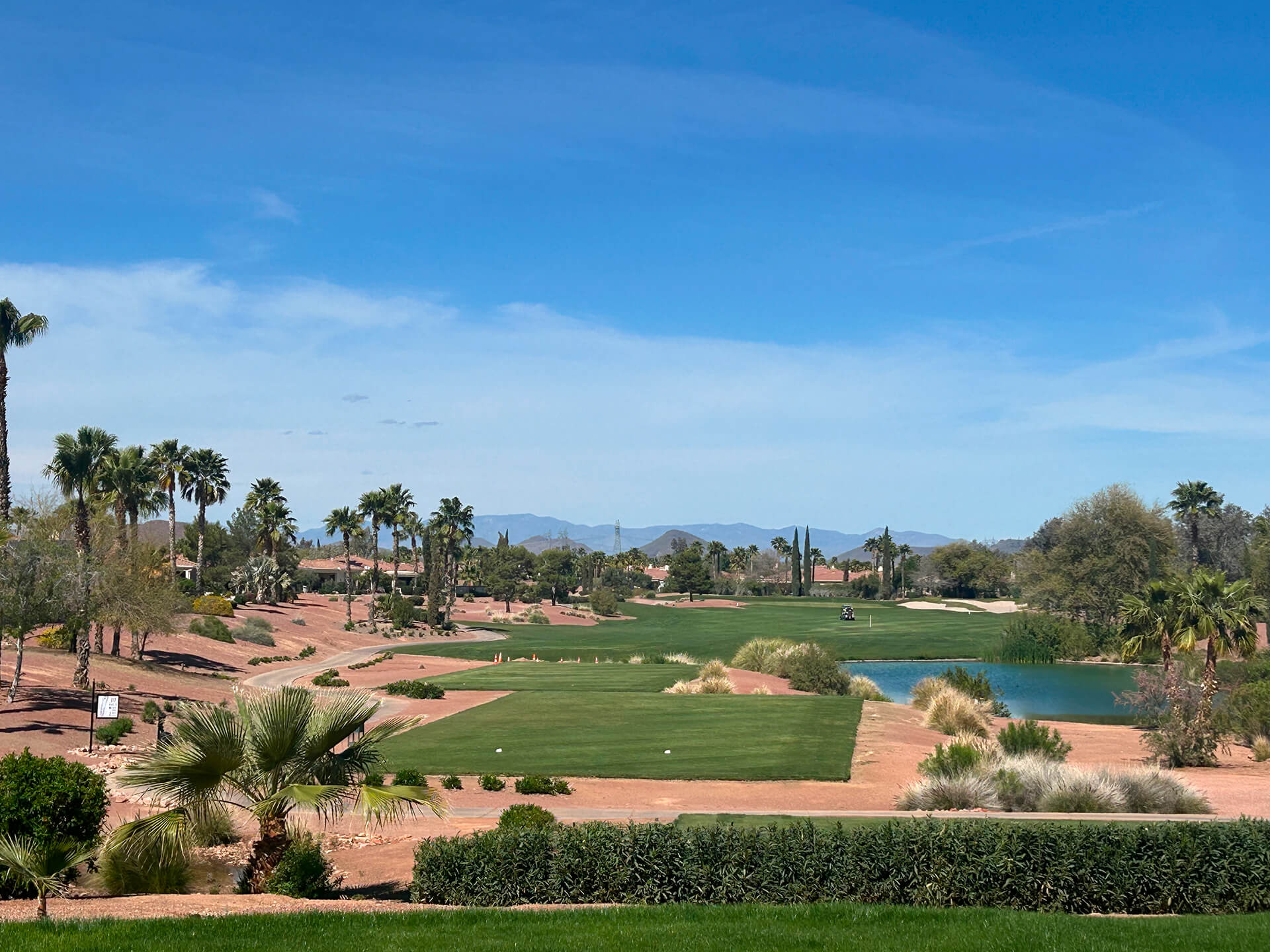 arizona (1)
