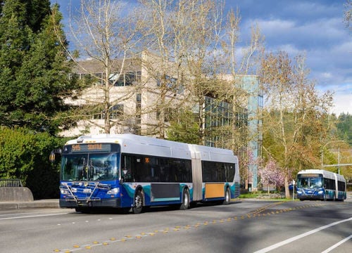 Redmond-MS-buses(1)
