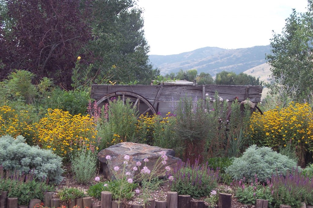 Ken Caryl Mountain States Realty Group