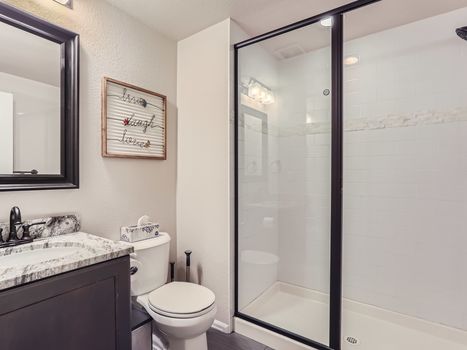 50 Lower Level Bathroom