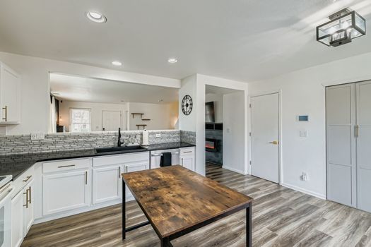 892 Mockingbird Lane - Web Quality - 013 - 15 Kitchen