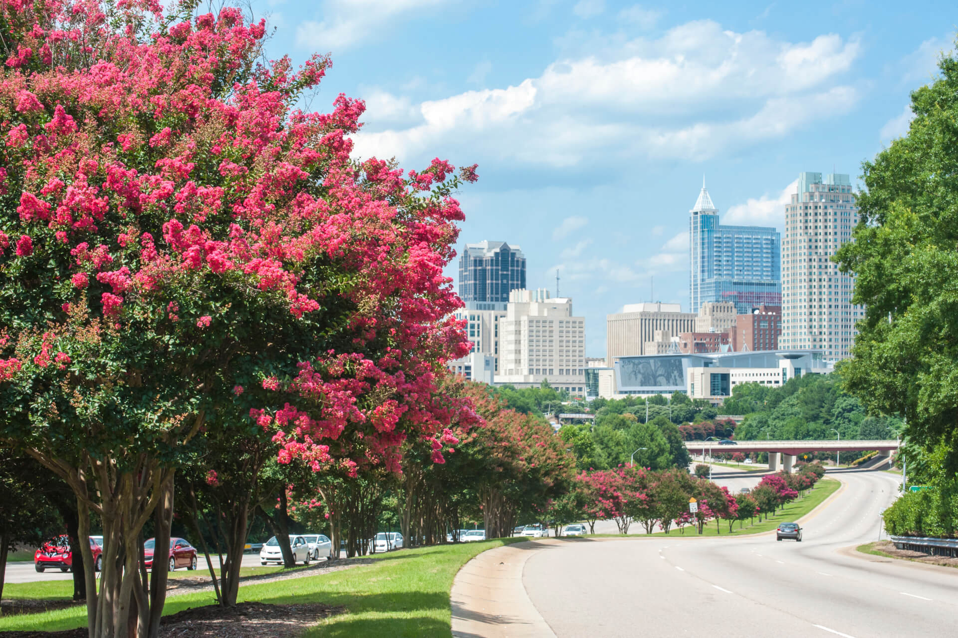 Raleigh skyline in the summer
