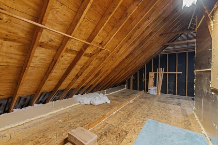 26-web-or-mls-5Z8A2713