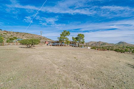 DSC00524-Enhanced-NR