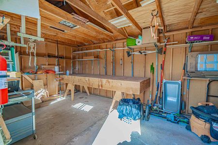 DSC00537-Enhanced-NR