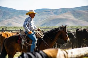 Rodeo Tradition