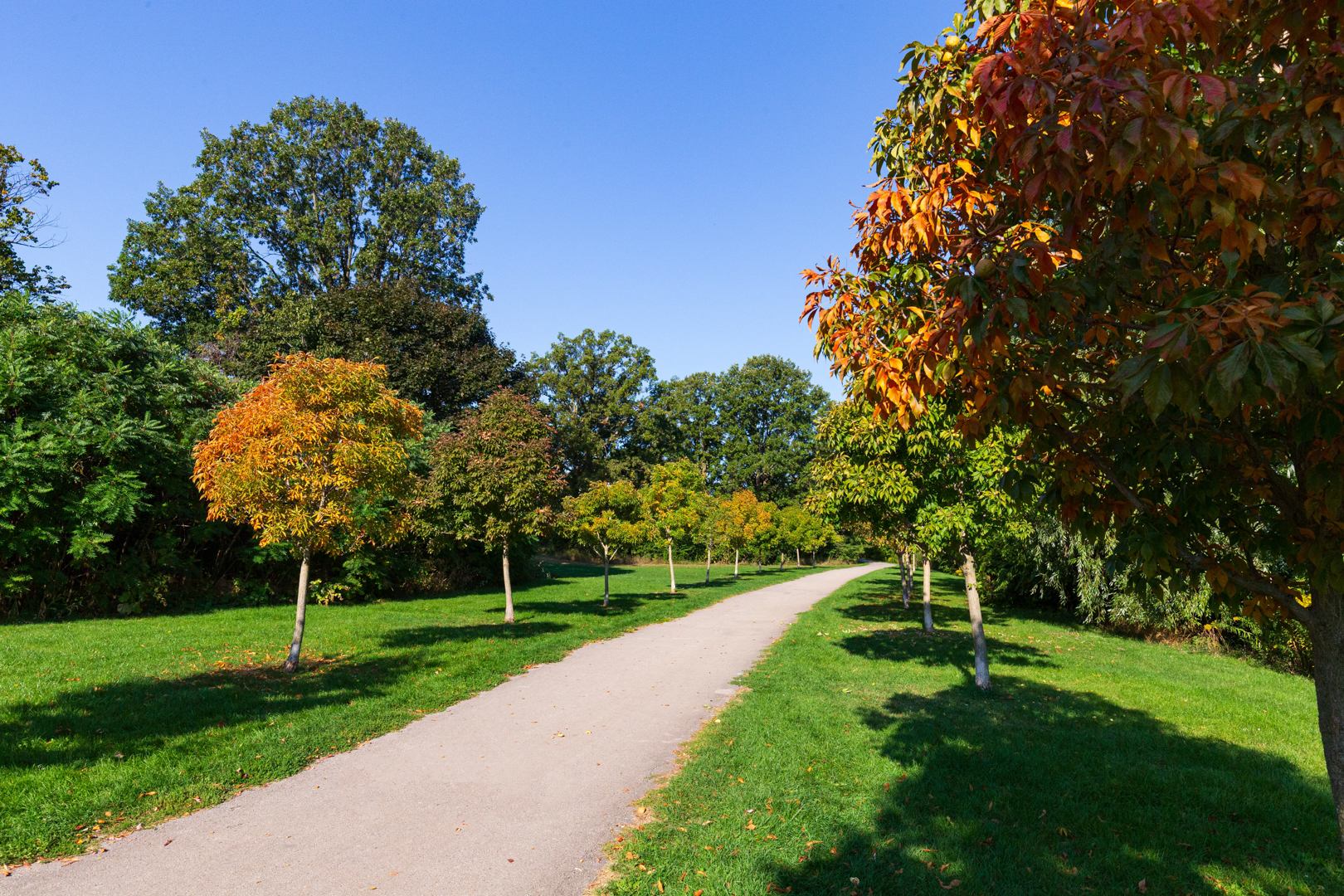 Park in Headon Forest
