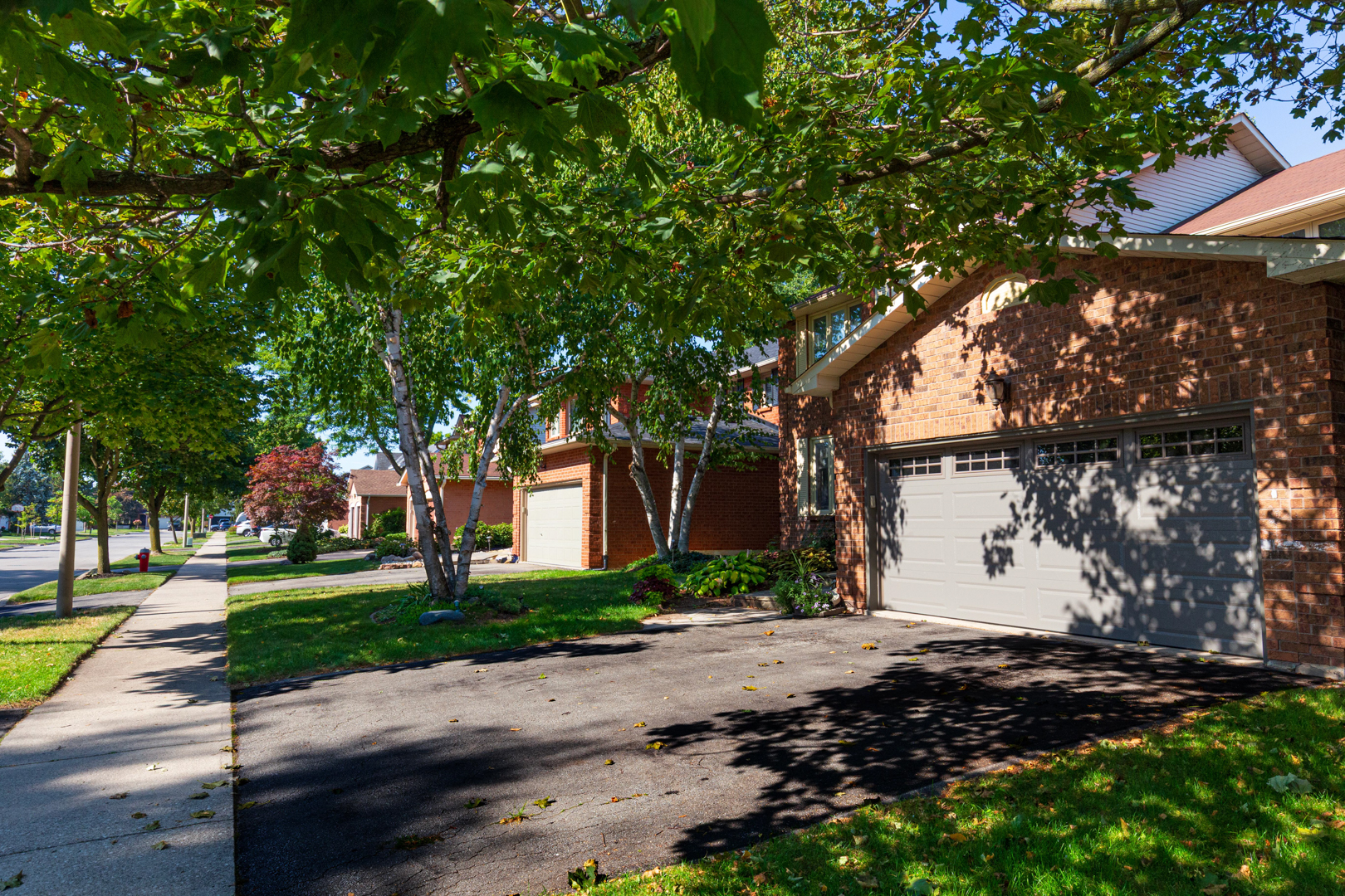 Homes in Headon Forest