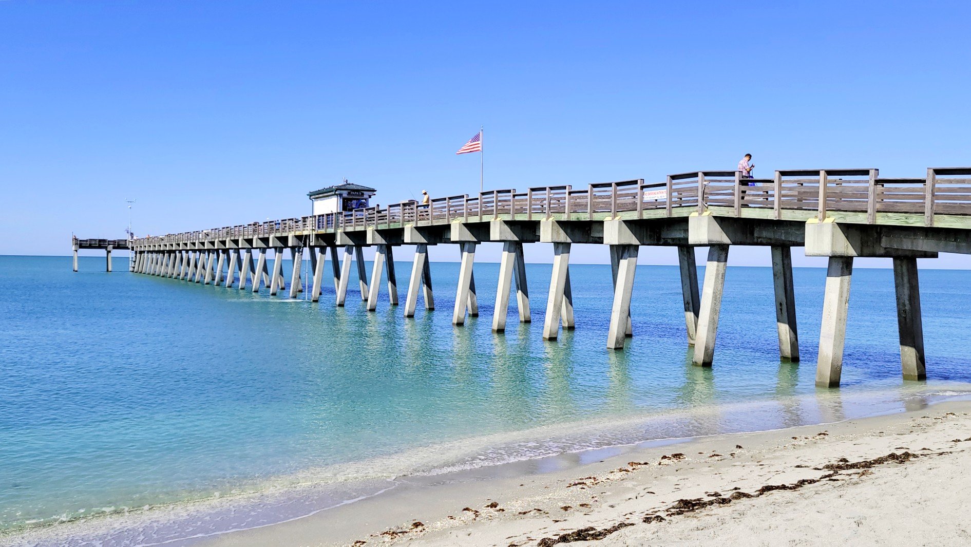 Venice FL Piert