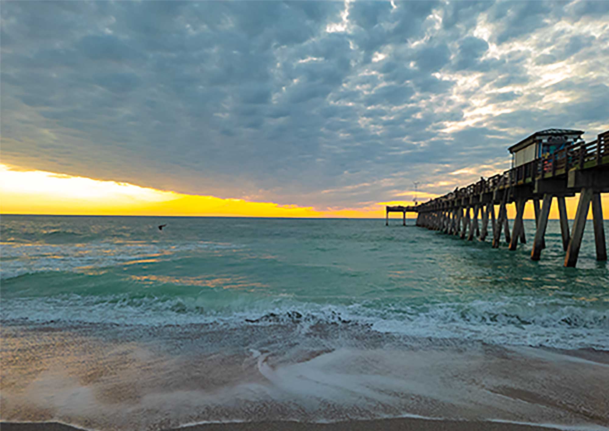 Sunset at Venice Pier