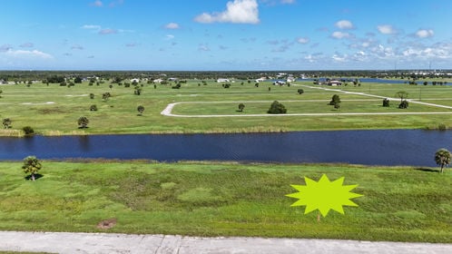 27 &#038; 29 Sunflower