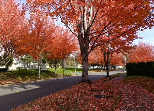 bothell