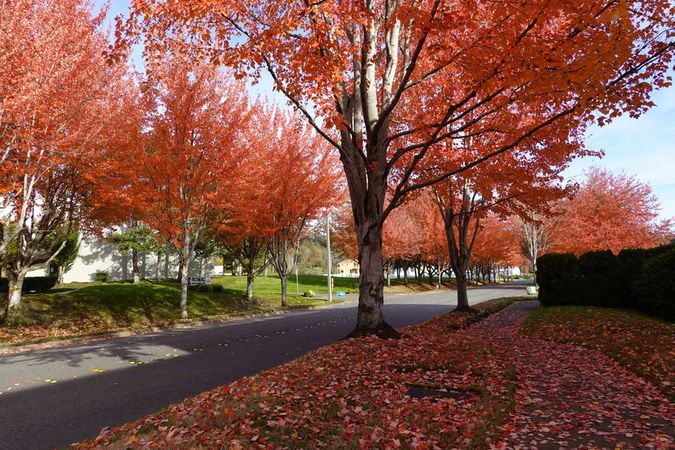 Bothell