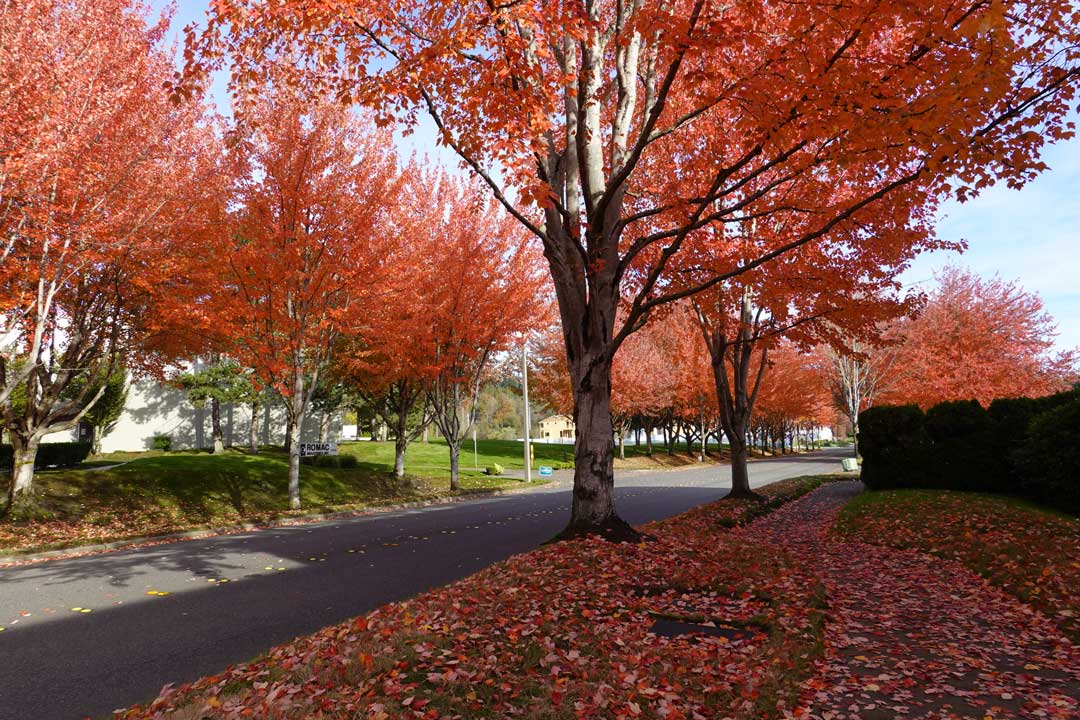 Bothell