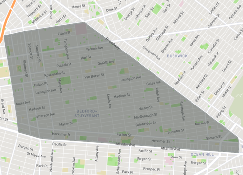 bedford stuyvasent.png