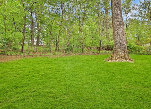 Screenshot 2025-11-13 174455