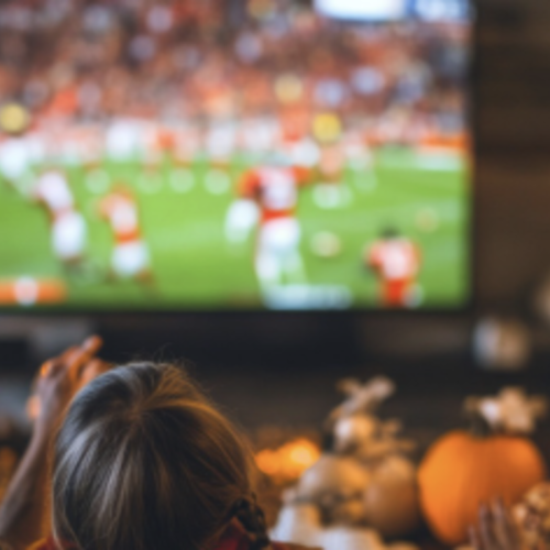 Tampa Bay Sports: Fall in Full Swing