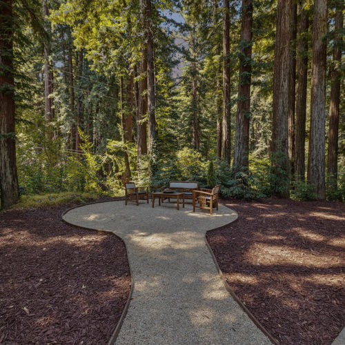 The Santa Cruz County Trade-Off: City Convenience vs. Mountain Living