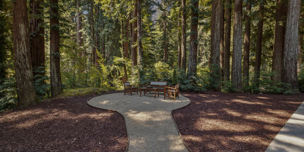 The Santa Cruz County Trade-Off: City Convenience vs. &hellip;