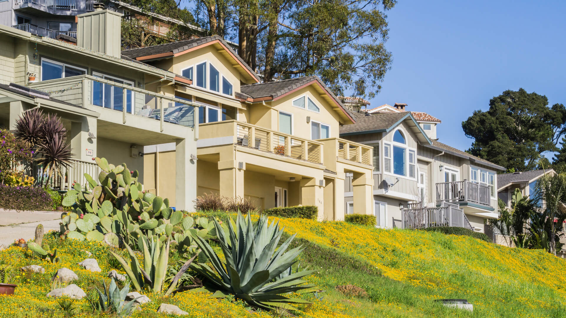 Residential street, Santa Cruz, California