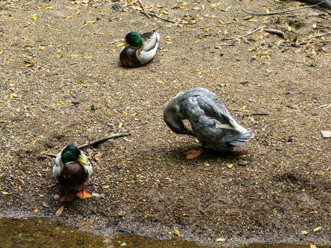 048_dji_20250407104258_0364_d_306