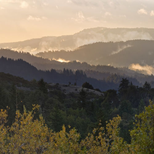The Commute Conspiracy: Why Highway 17 Isn't the Career Killer You Think It Is