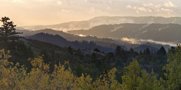 The Commute Conspiracy: Why Highway 17 Isn't the …
