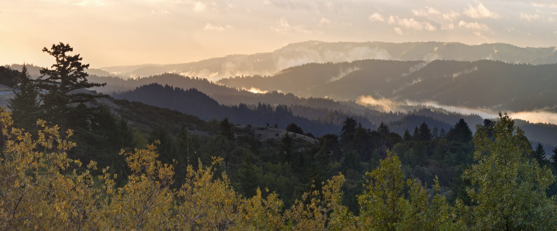 Beautiful Santa Cruz Mountains of California's Bay Area