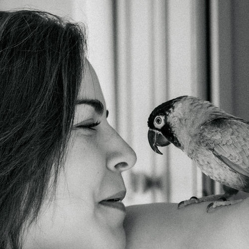 I learned it from a bird