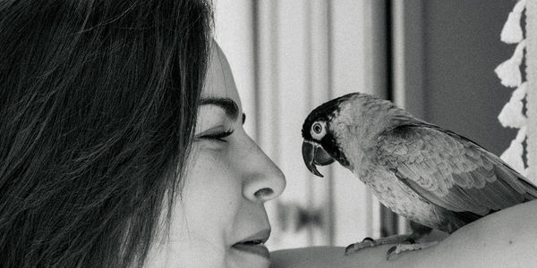 I learned it from a bird