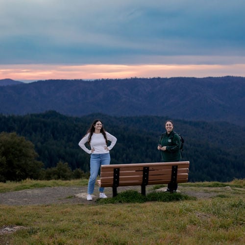 Conservation Easements