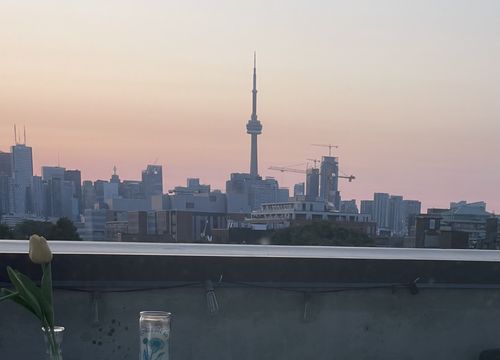 IMG_4003