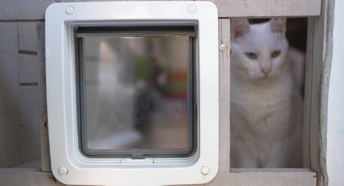 Pet Doors