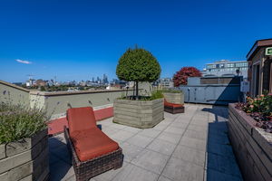 33-web-or-mls-801-king-st-w
