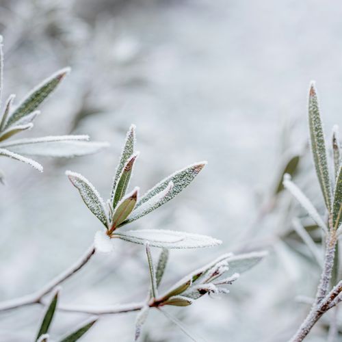 Prep Your Yard for Winter & Cross It Off Your List