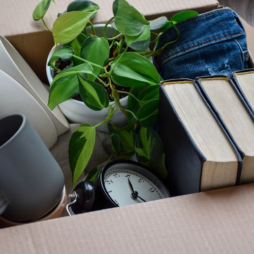 Thinking About Downsizing? Here’s Why Spring Is the Best Time to Move