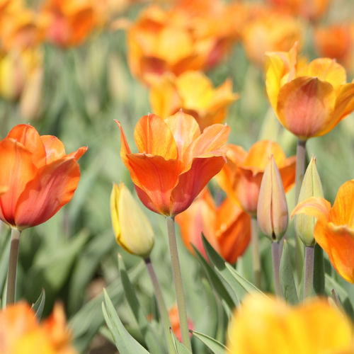 The R + F Team’s Favorite Spring Things and Places