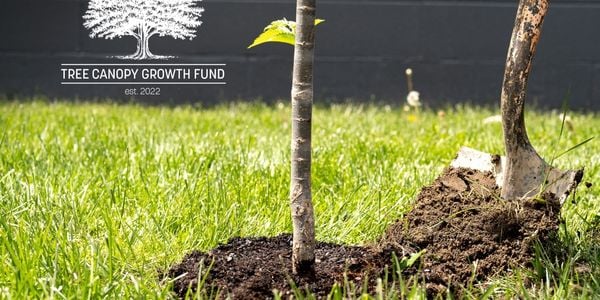 Striding Towards a Greener Fort Wayne with The …