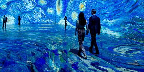 Immerse Yourself in the Artistic Odyssey of Vincent …