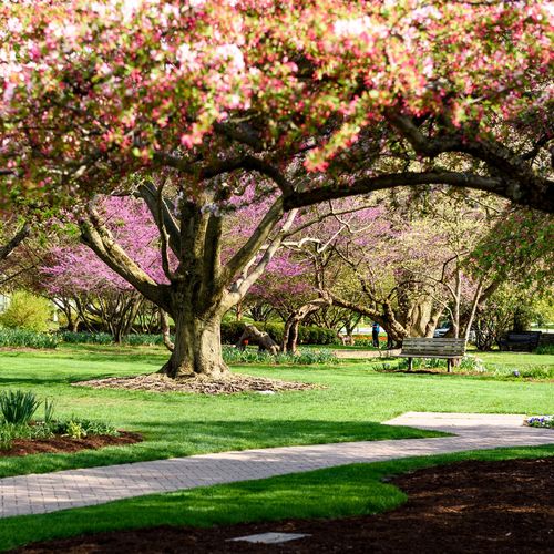 Get to Know The R+F Team’s Favorite Spring Activities