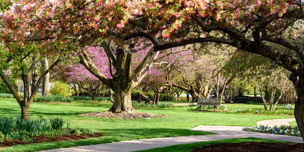 Get to Know The R+F Team’s Favorite Spring …
