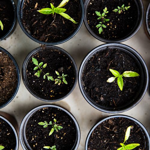 Sustainability Journey with Ground Down