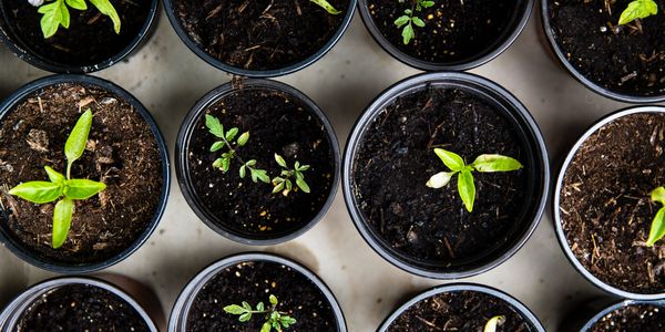 Sustainability Journey with Ground Down