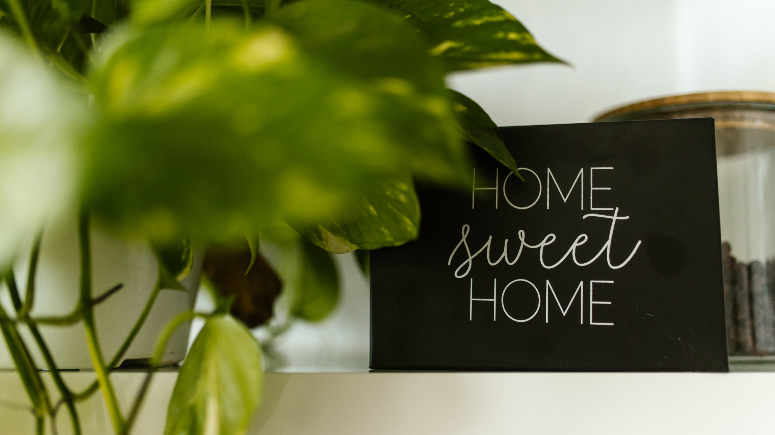 RFG_New Year New Home