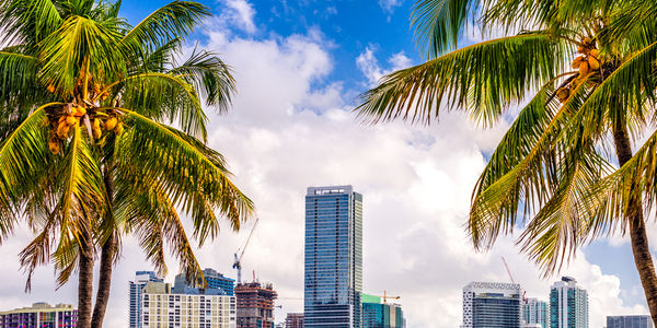 Living in Miami Beach: A Neighborhood Guide
