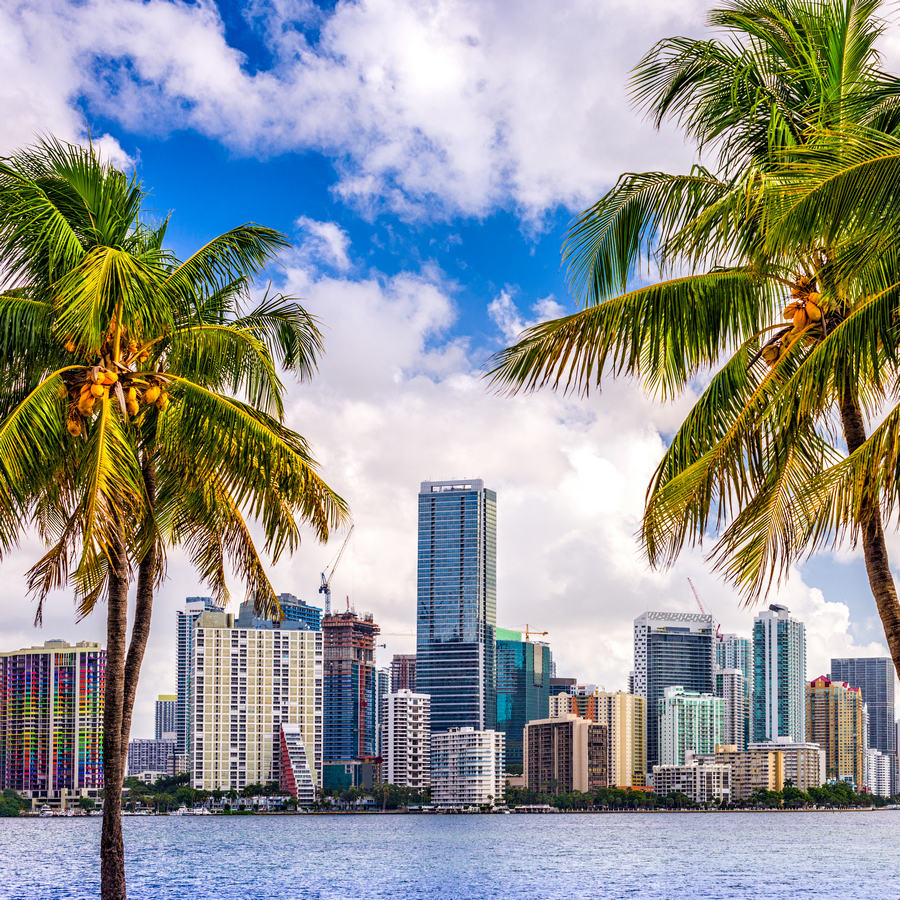 Miami,,Florida,,Usa,Tropical,Downtown,Skyline.