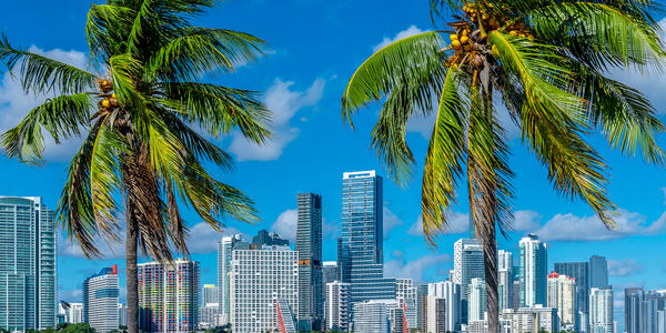 Living in Brickell, Miami: A Complete Neighborhood Guide