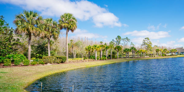 27 Things to Know Before Living in Miami, &hellip;