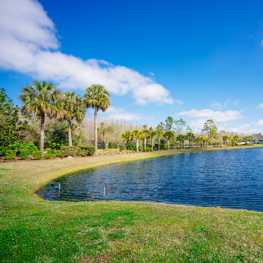 A,Small,Pond,In,A,Florida,Community
