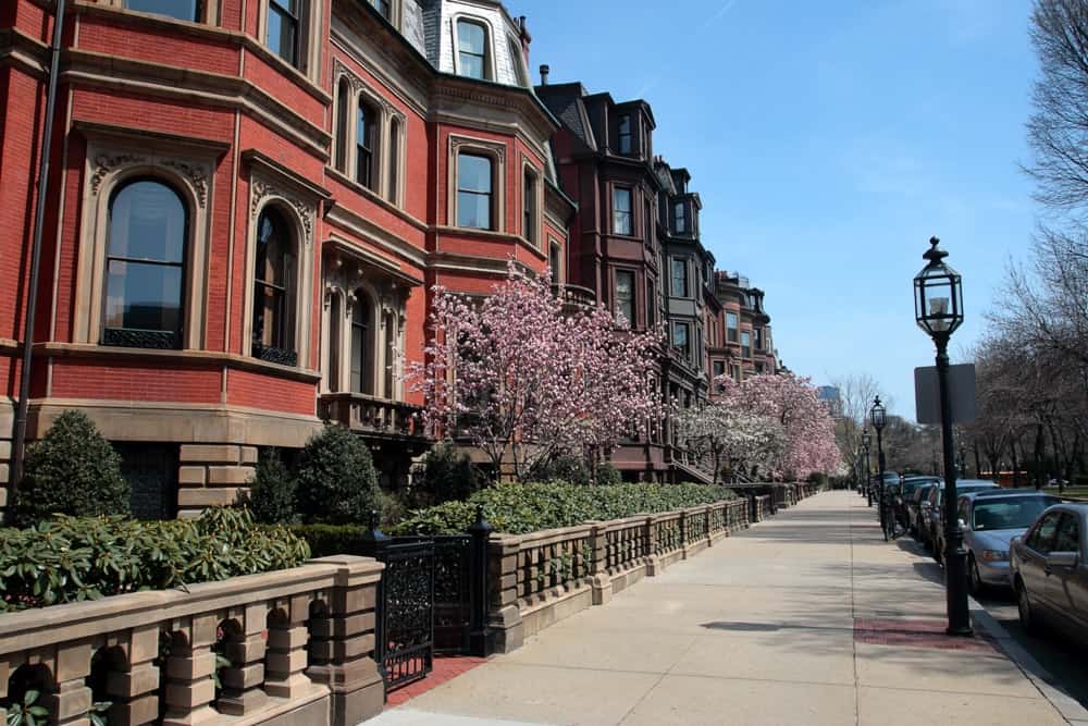 Back Bay 1